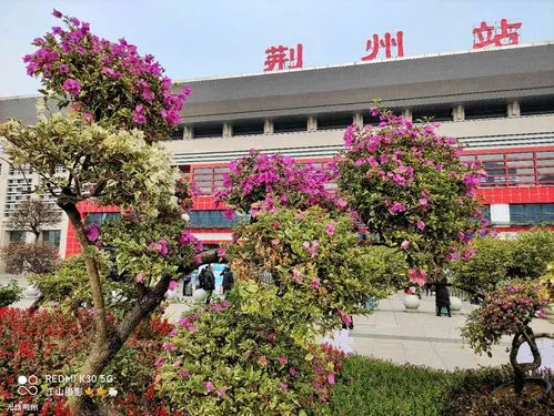 武汉到荆州货运公司派搬运/打包装 武汉到荆州货运公司派搬运/打包装